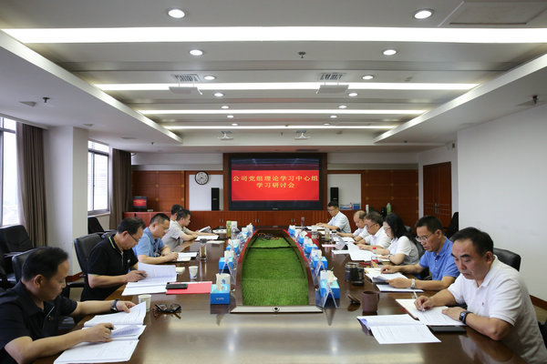 威廉体育公司党组理论进建中心组发展主题教育第四次集中进建钻研