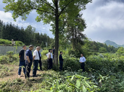 徐磊带队调研桑植县芦溪村村落振兴工作