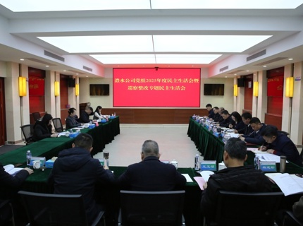 任红梅领导威廉体育公司党组2025年度民主生涯会暨巡察整改专题民主生涯会
