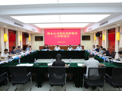 威廉体育公司党组召开巡察整改工作推动会