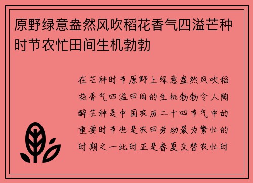 原野绿意盎然风吹稻花香气四溢芒种时节农忙田间生机勃勃