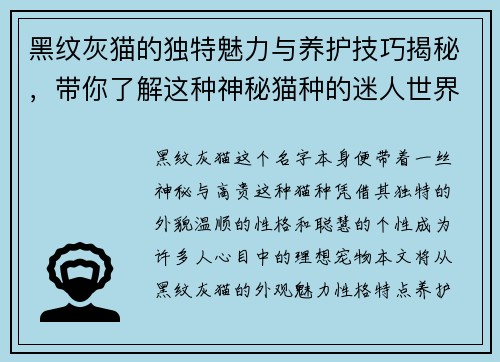黑纹灰猫的独特魅力与养护技巧揭秘，带你了解这种神秘猫种的迷人世界